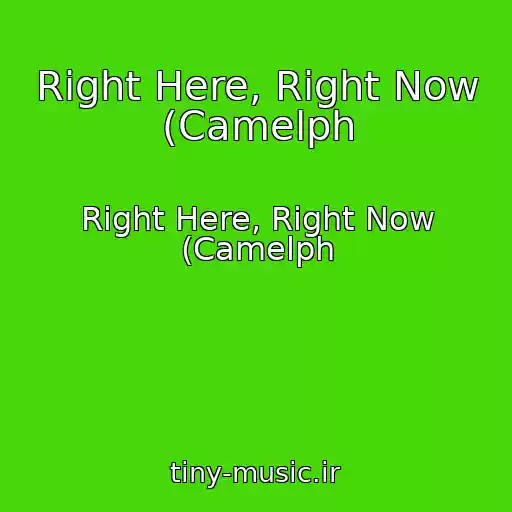 کاور آهنگ Right Here, Right Now (Camelph از Right Here, Right Now (Camelph