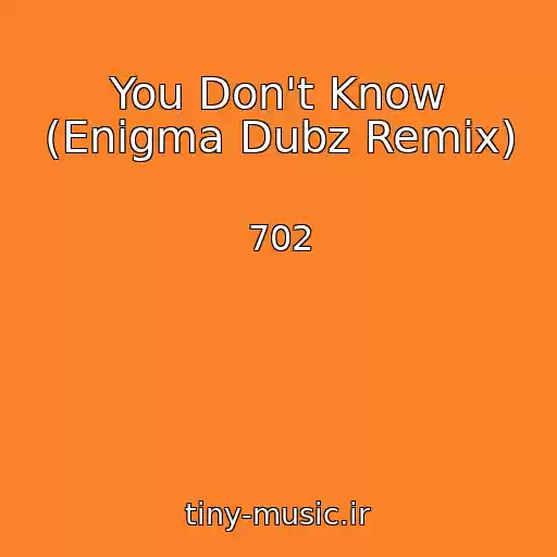 کاور آهنگ You Don't Know (Enigma Dubz Remix) از 702