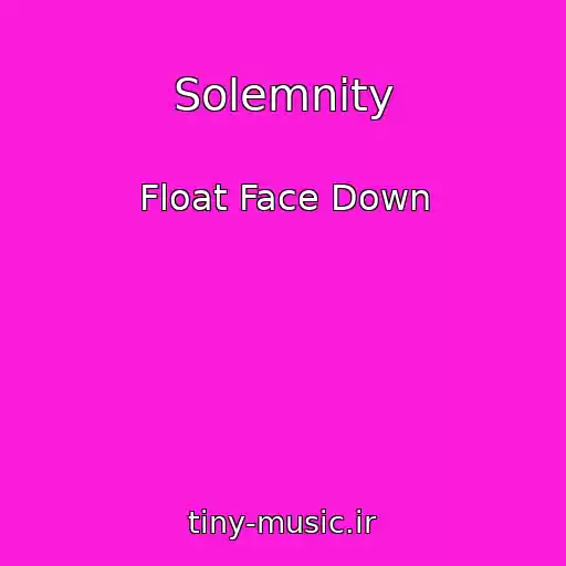 کاور آهنگ Solemnity از Float Face Down