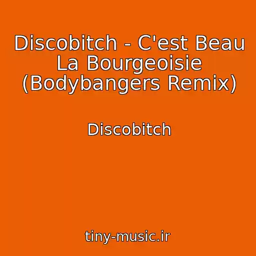 کاور آهنگ Discobitch - C'est Beau La Bourgeoisie (Bodybangers Remix) از Discobitch