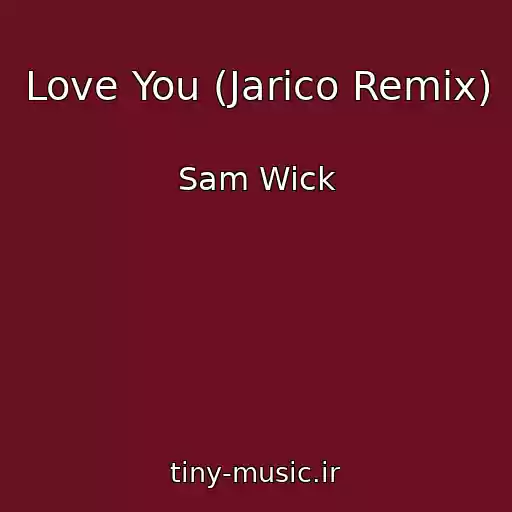 کاور آهنگ Love You (Jarico Remix) از Sam Wick