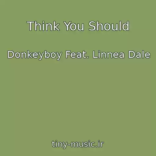 کاور آهنگ Think You Should از Donkeyboy Feat. Linnea Dale