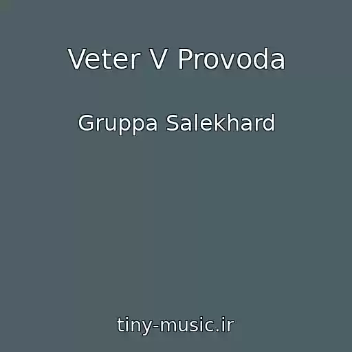 کاور آهنگ Veter V Provoda از Gruppa Salekhard