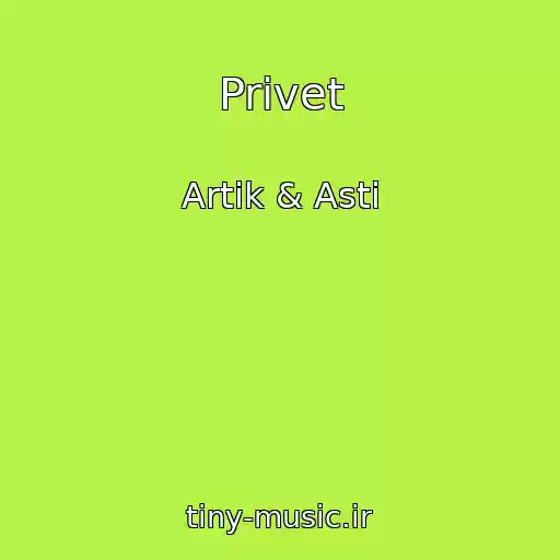 کاور آهنگ Privet از Artik & Asti