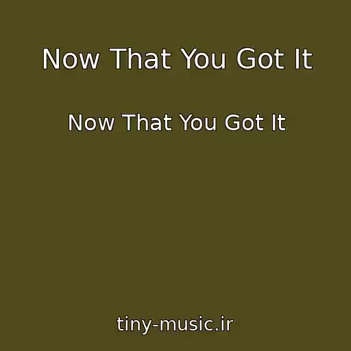 کاور آهنگ Now That You Got It از Now That You Got It