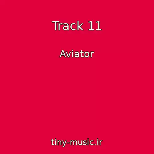 کاور آهنگ Track 11 از Aviator