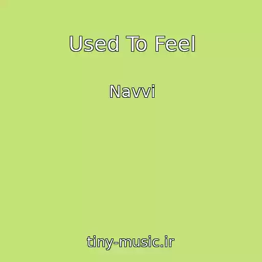 کاور آهنگ Used To Feel از Navvi