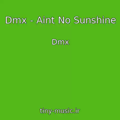 کاور آهنگ Dmx - Aint No Sunshine از Dmx