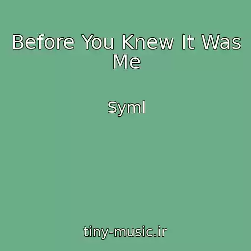 کاور آهنگ Before You Knew It Was Me از Syml