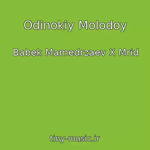 کاور آهنگ Odinokiy Molodoy از Babek Mamedrzaev X Mrid