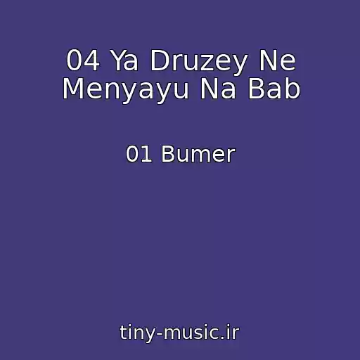 کاور آهنگ 04 Ya Druzey Ne Menyayu Na Bab از 01 Bumer