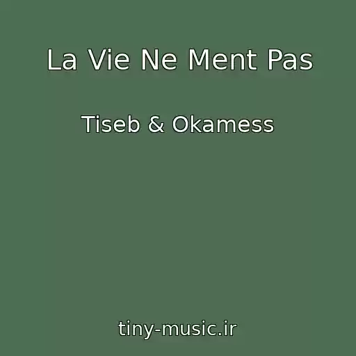 کاور آهنگ La Vie Ne Ment Pas از Tiseb & Okamess
