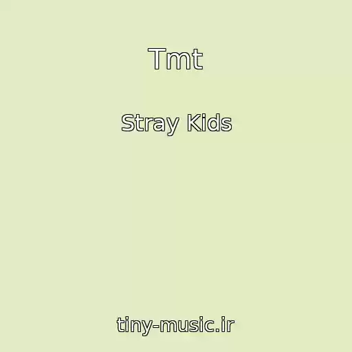 کاور آهنگ Tmt از Stray Kids