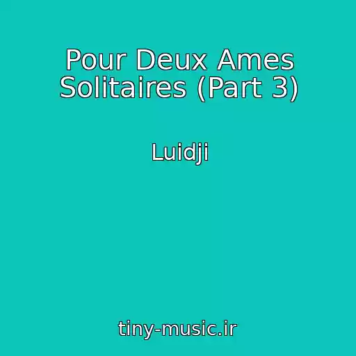 کاور آهنگ Pour Deux Ames Solitaires (Part 3) از Luidji