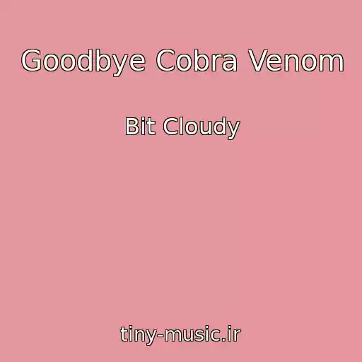 کاور آهنگ Goodbye Cobra Venom از Bit Cloudy