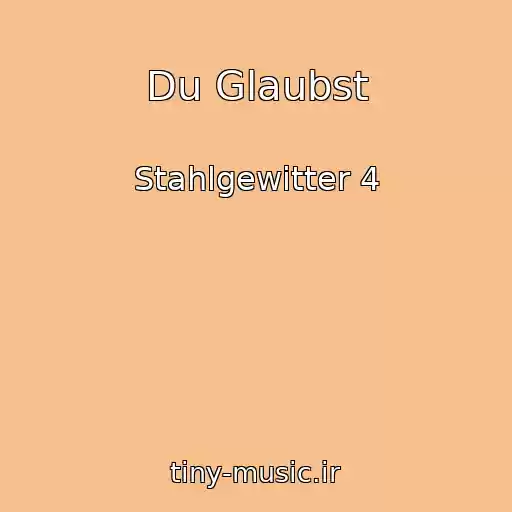 کاور آهنگ Du Glaubst از Stahlgewitter 4