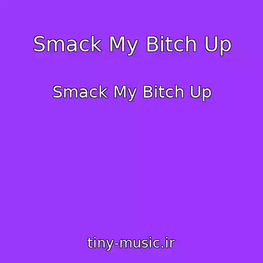 کاور آهنگ Smack My Bitch Up از Smack My Bitch Up