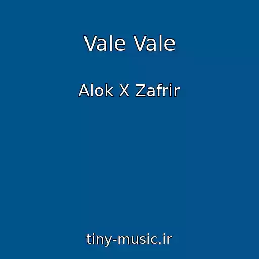 کاور آهنگ Vale Vale از Alok X Zafrir