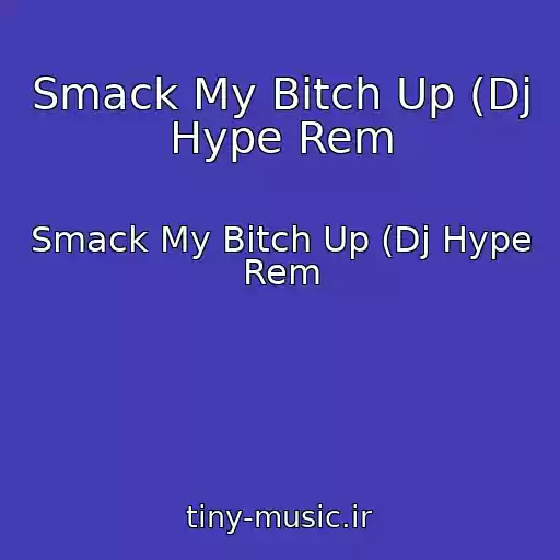 کاور آهنگ Smack My Bitch Up (Dj Hype Rem از Smack My Bitch Up (Dj Hype Rem