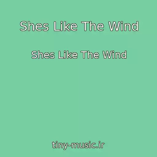 کاور آهنگ Shes Like The Wind از Shes Like The Wind