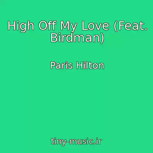 کاور آهنگ High Off My Love (Feat. Birdman) از Paris Hilton