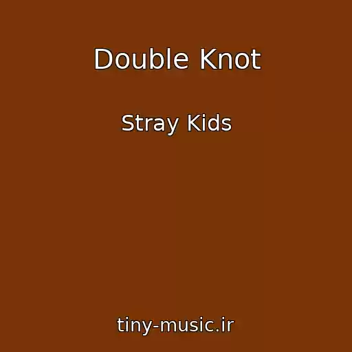 کاور آهنگ Double Knot از Stray Kids