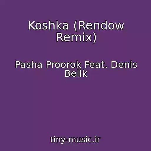 کاور آهنگ Koshka (Rendow Remix) از Pasha Proorok Feat. Denis Belik