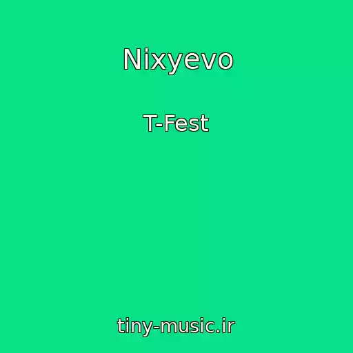 کاور آهنگ Nixyevo از T-Fest