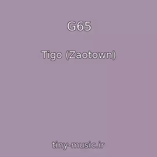 کاور آهنگ G65 از Tigo (Zaotown)