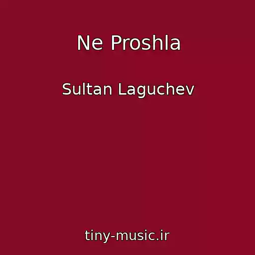 کاور آهنگ Ne Proshla از Sultan Laguchev