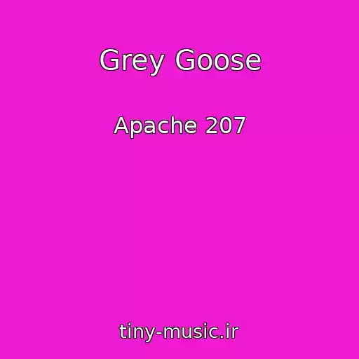 کاور آهنگ Grey Goose از Apache 207