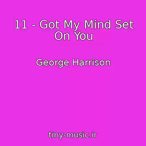 کاور آهنگ 11 - Got My Mind Set On You از George Harrison