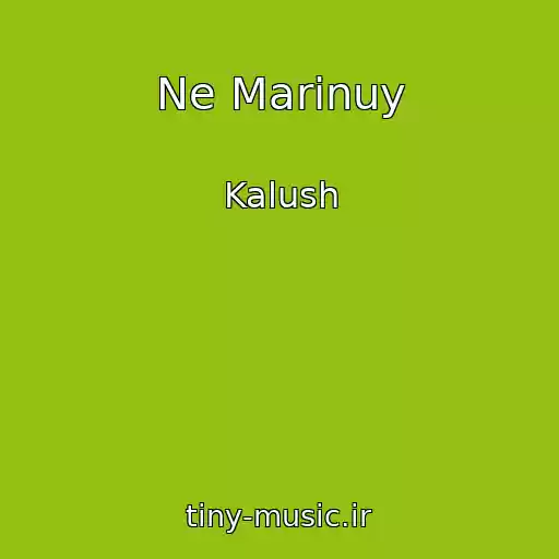 کاور آهنگ Ne Marinuy از Kalush