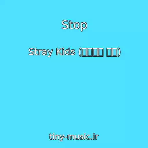 کاور آهنگ Stop از Stray Kids (스트레이 키즈)