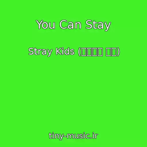 کاور آهنگ You Can Stay از Stray Kids (스트레이 키즈)