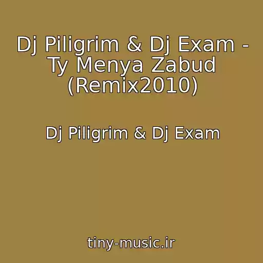کاور آهنگ Dj Piligrim & Dj Exam - Ty Menya Zabud (Remix2010) از Dj Piligrim & Dj Exam