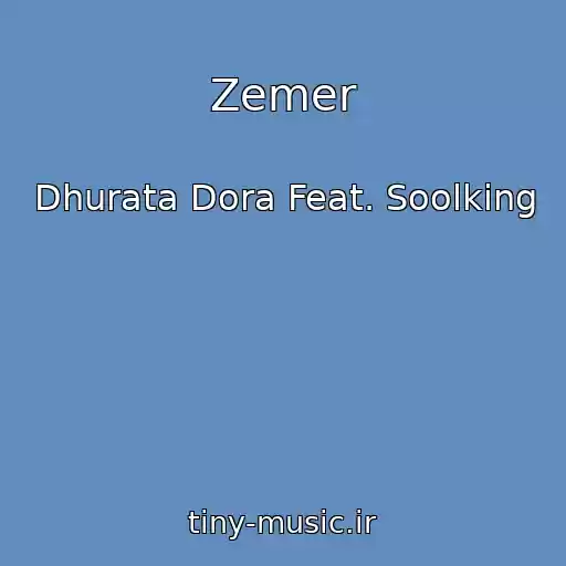 کاور آهنگ Zemer از Dhurata Dora Feat. Soolking
