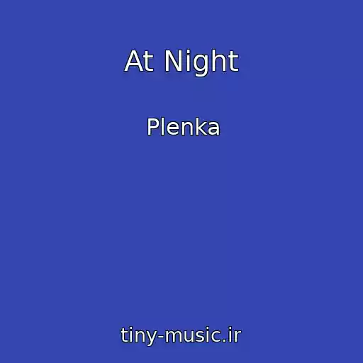 کاور آهنگ At Night از Plenka