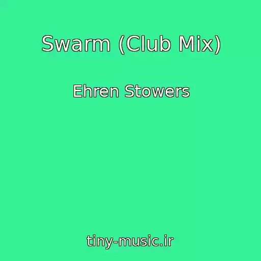 کاور آهنگ Swarm (Club Mix) از Ehren Stowers