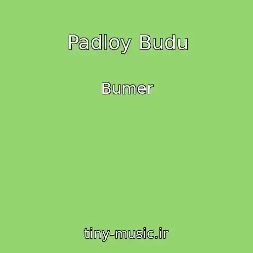 کاور آهنگ Padloy Budu از Bumer
