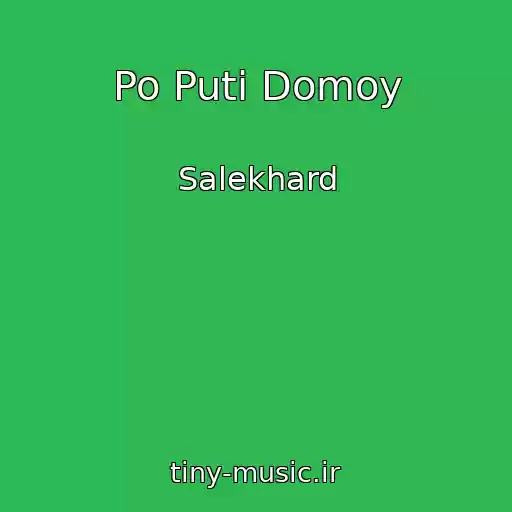 کاور آهنگ Po Puti Domoy از Salekhard