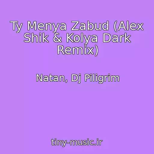کاور آهنگ Ty Menya Zabud (Alex Shik & Kolya Dark Remix) از Natan, Dj Piligrim