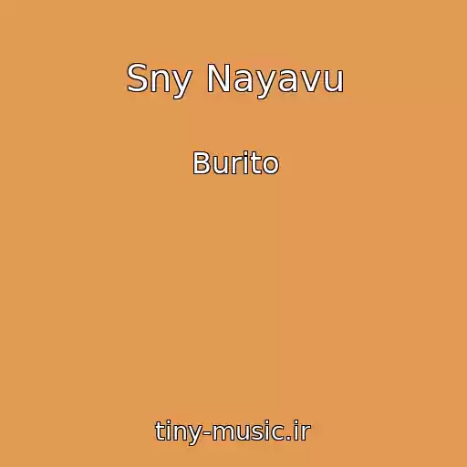 کاور آهنگ Sny Nayavu از Burito
