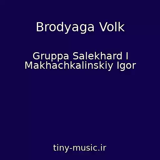 کاور آهنگ Brodyaga Volk از Gruppa Salekhard I Makhachkalinskiy Igor