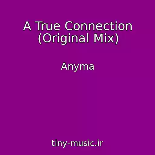 کاور آهنگ A True Connection (Original Mix) از Anyma