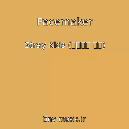 کاور آهنگ Pacemaker از Stray Kids (스트레이 키즈)
