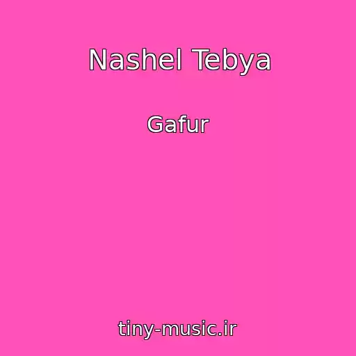 کاور آهنگ Nashel Tebya از Gafur