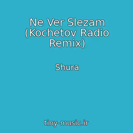 کاور آهنگ Ne Ver Slezam (Kochetov Radio Remix) از Shura