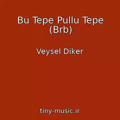 کاور آهنگ Bu Tepe Pullu Tepe (Brb) از Veysel Diker