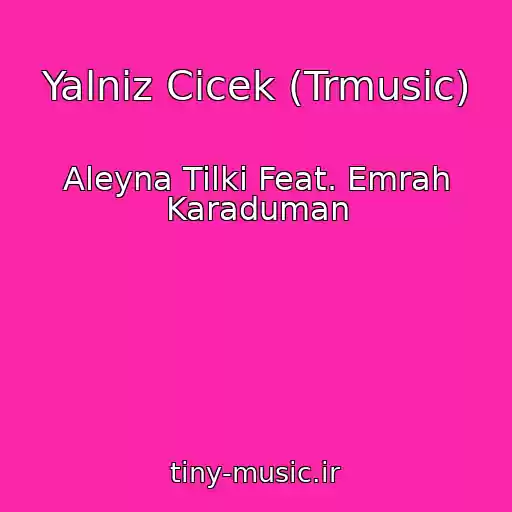 کاور آهنگ Yalniz Cicek (Trmusic) از Aleyna Tilki Feat. Emrah Karaduman